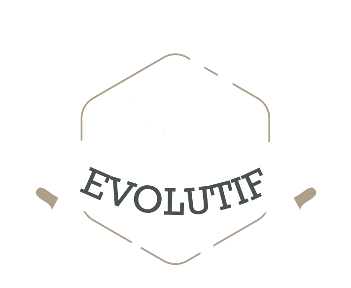 logo evolutif