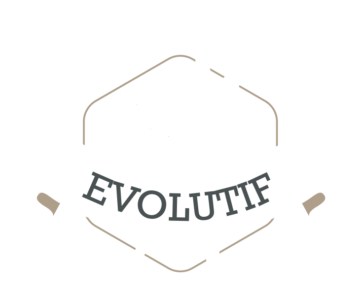 Logo Evolutif